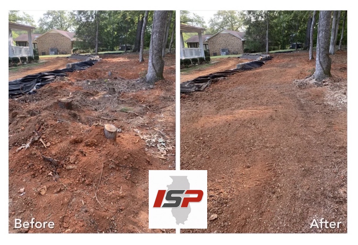 Wooded driveway edge before and after stump grinding, multiple stumps ground and area leveled