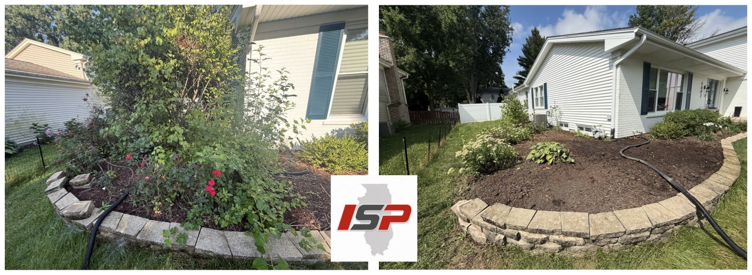 Overgrown shrub bed before and after removal, cleared and re-mulched next to a house